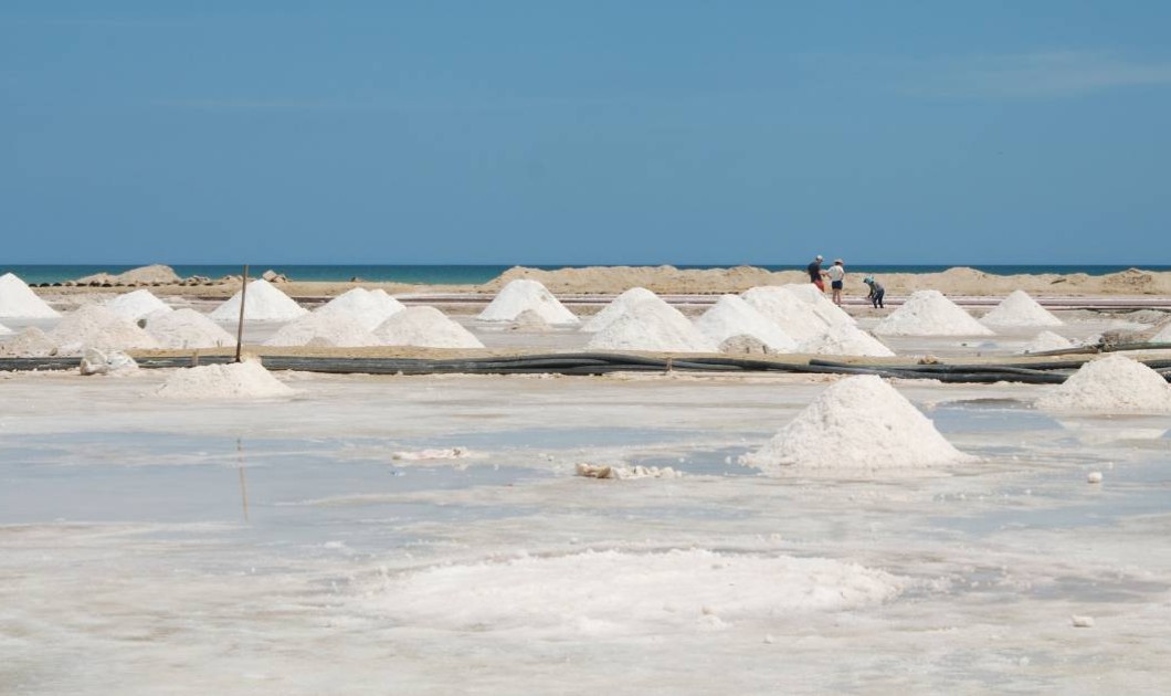 Salt - the source of life on earth