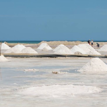 Salt - the source of life on earth