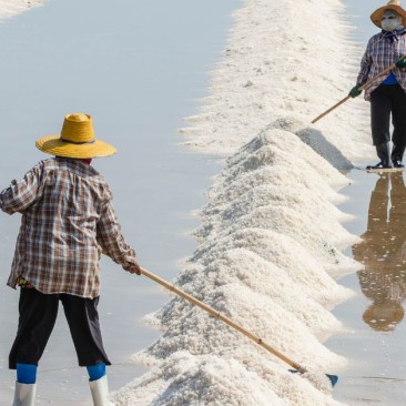 Traditional methods of sea salt extraction and processing in different regions of the world.